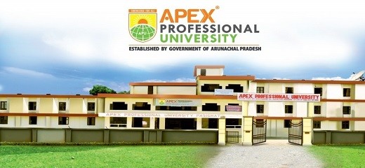 WES from Apex Professional University