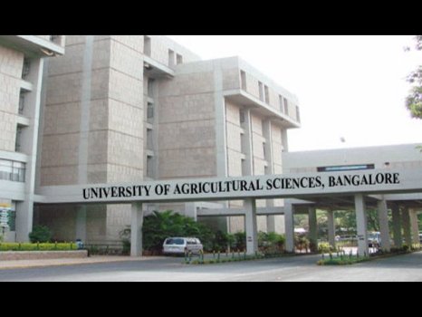 University of Agricultural Sciences Bangalore